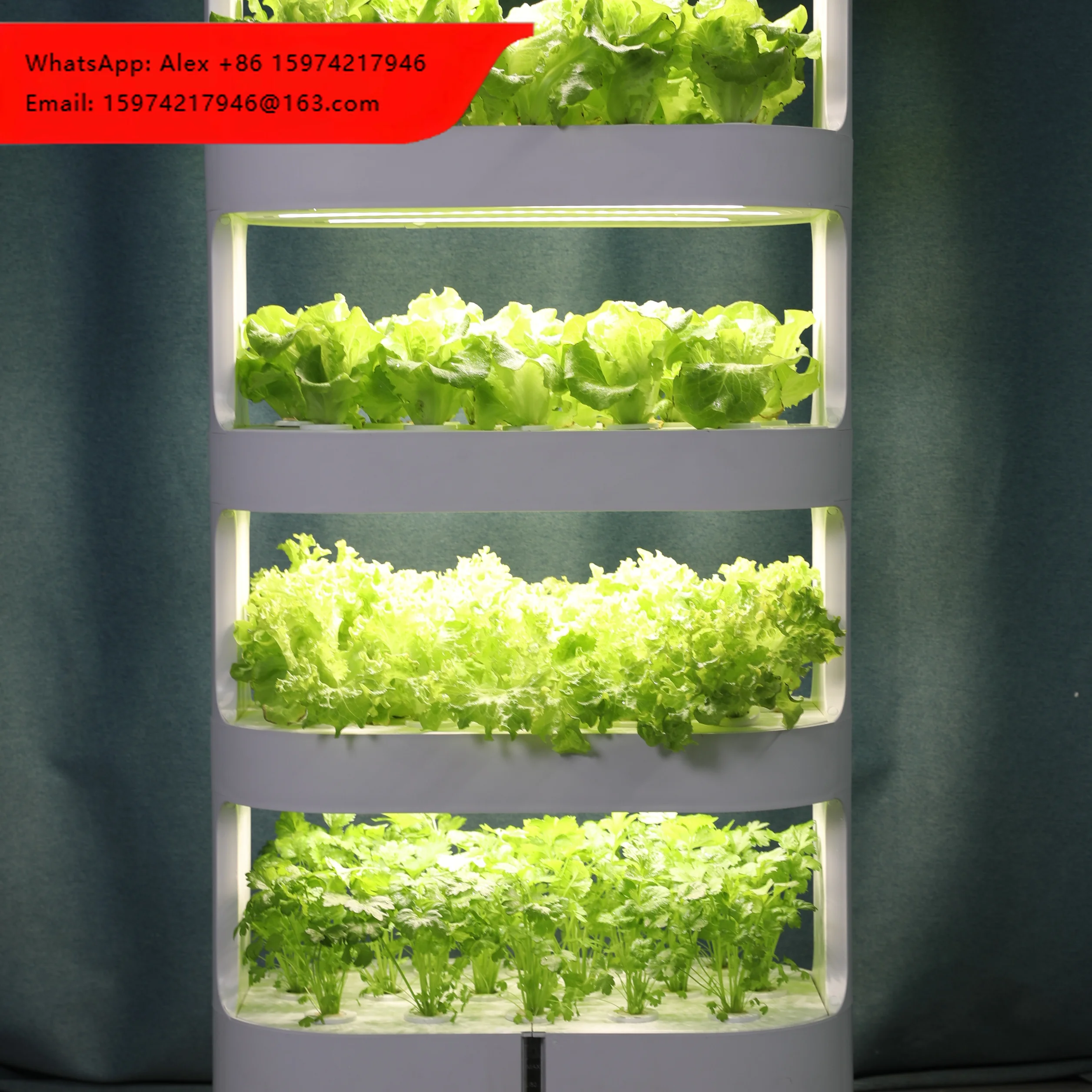 Home Use Planter Greenhouse System Vegetable Planter Indoor Vertical Hydroponic Tower Multi-layer Home Growing System For Leafy
Home Use Planter Greenhouse System Vegetable Planter Indoor Vertical Hydroponic Tower Multi-layer Home Growing System For Leafy