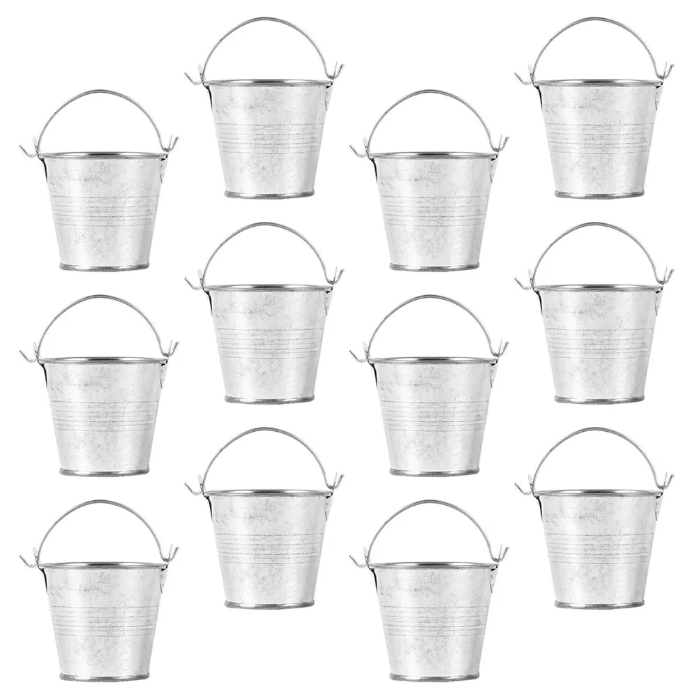 15pcs Small Iron Bucket Pot Simple Metal Vintage Planting Succulents Rustic Decor Photo Prop Metal
15pcs Small Iron Bucket Pot Simple Metal Vintage Planting Succulents Rustic Decor Photo Prop Metal