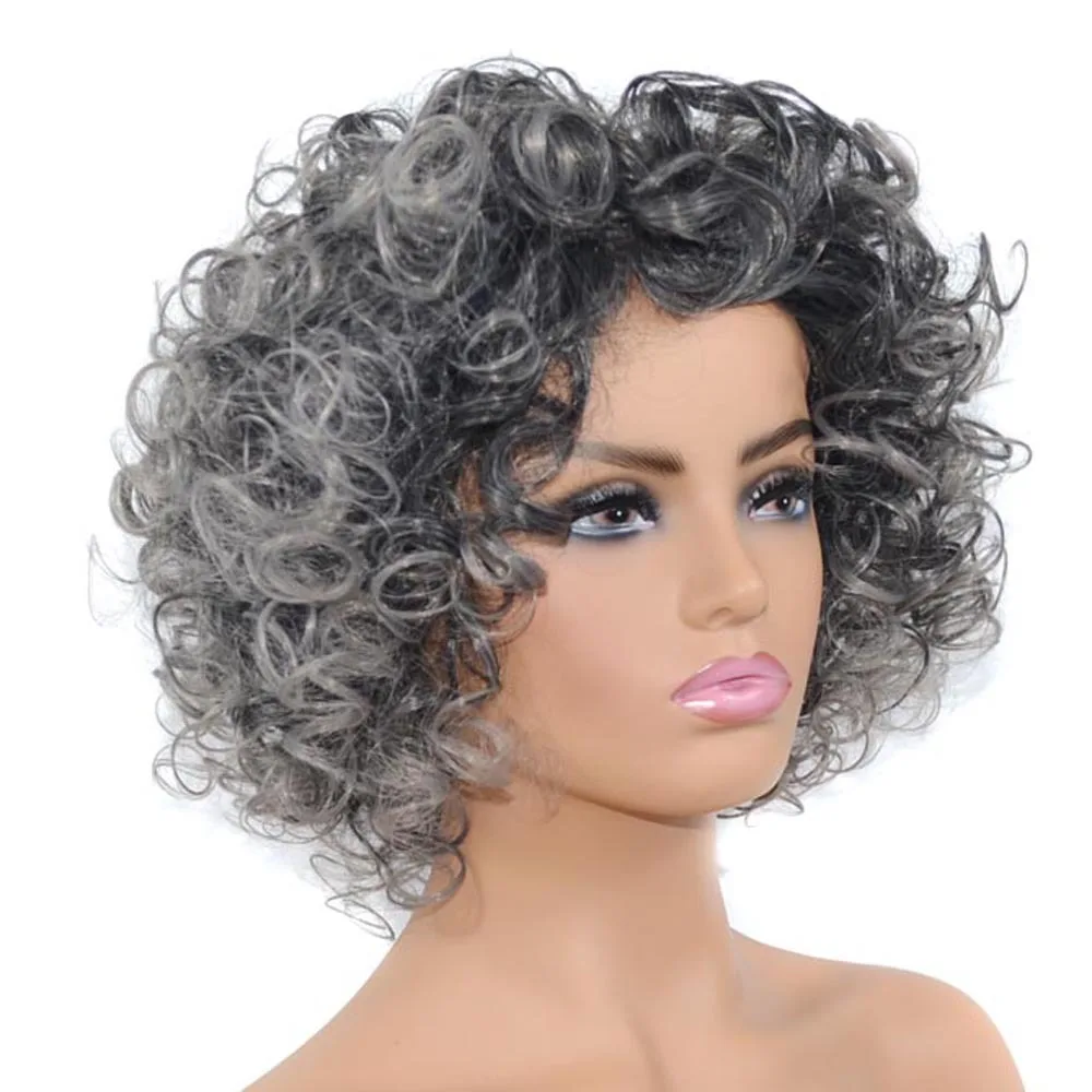 Synthetic Afro Curly Wig Short Gray Black Voluminous Big Wave Cosplay Party Daily Women Heat Resistant Hair
Synthetic Afro Curly Wig Short Gray Black Voluminous Big Wave Cosplay Party Daily Women Heat Resistant Hair