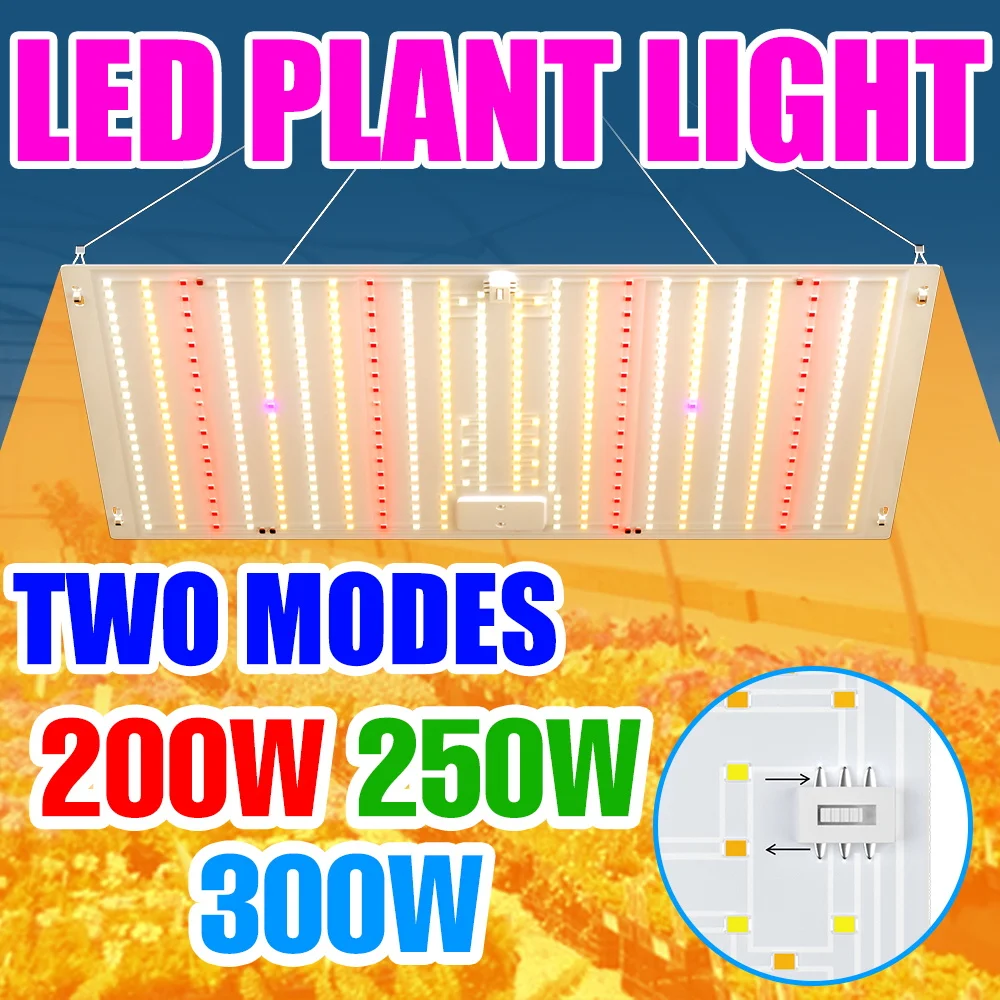 300W Full Spectrum LED Grow Light Quantum Board UV IR Indoor Plant Fill Lamp Flower Vegs Fruit Seeding Moss Cultivation Lighting
300W Full Spectrum LED Grow Light Quantum Board UV IR Indoor Plant Fill Lamp Flower Vegs Fruit Seeding Moss Cultivation Lighting