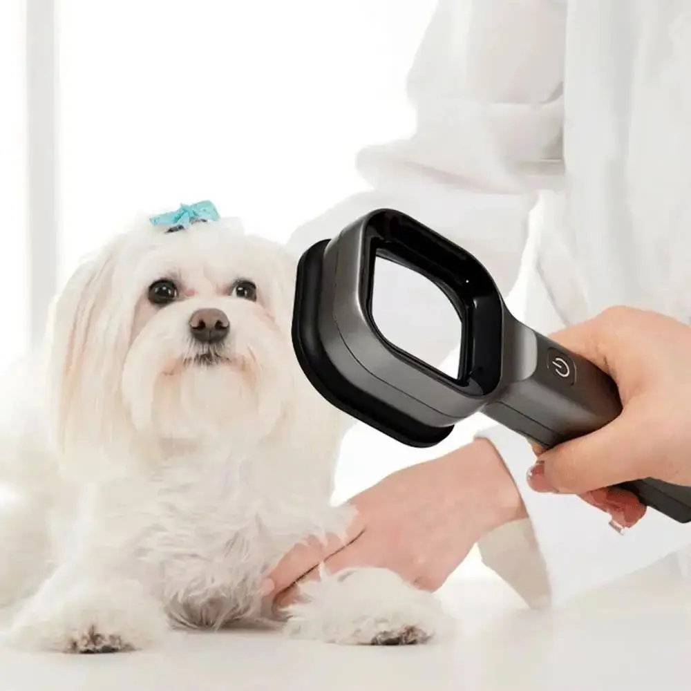 Pet Supplies Wood's Lamp USB Charging Handheld Filter Light Pet Skin Diagnosis Accessories Clinic
Pet Supplies Wood's Lamp USB Charging Handheld Filter Light Pet Skin Diagnosis Accessories Clinic