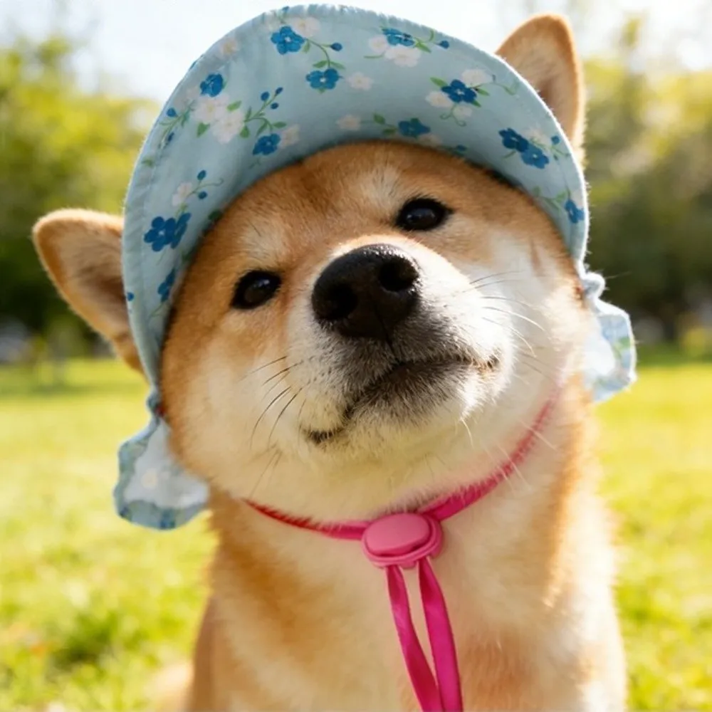 Floral Pattern Pet Sun Hat Round Brim UV Protection Adorable Pet Hat Adjustable With Ear Holes Dog Sunscreen Hat Birthday Party
Floral Pattern Pet Sun Hat Round Brim UV Protection Adorable Pet Hat Adjustable With Ear Holes Dog Sunscreen Hat Birthday Party
