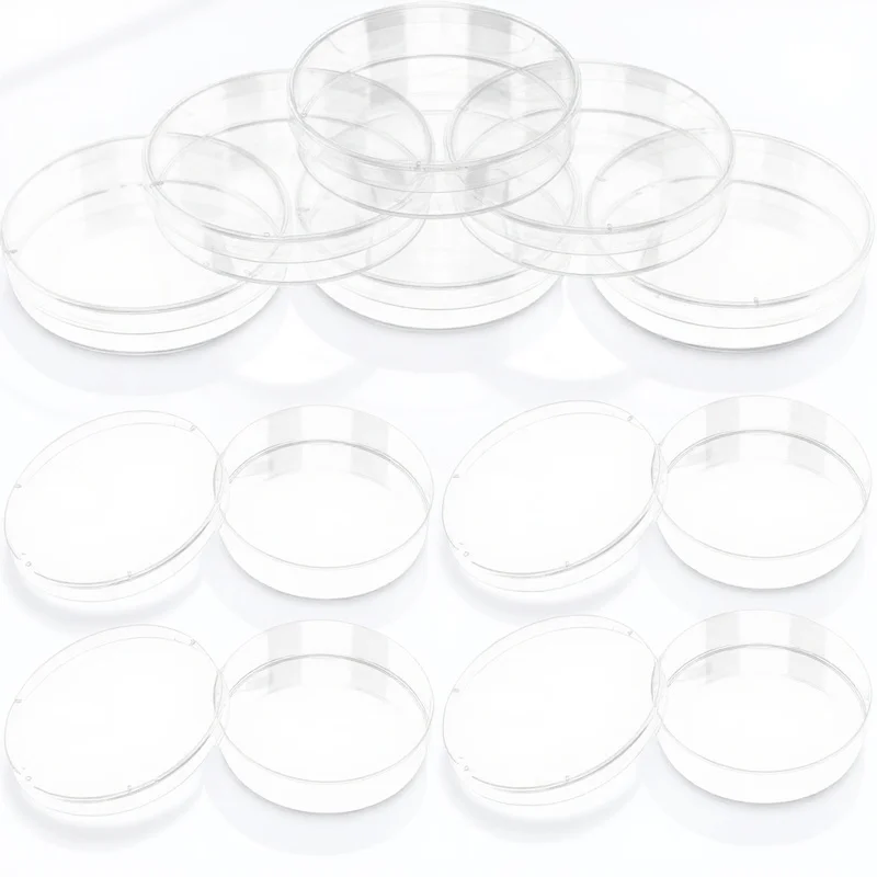 30 Pcs Culture Plate Science Experiment Petri Equipment Clear Laboratory Plates
30 Pcs Culture Plate Science Experiment Petri Equipment Clear Laboratory Plates