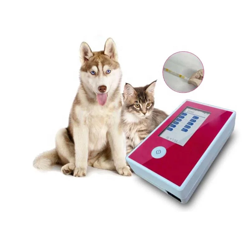 Анализатор микроскопии мочи для ветеринарной клиники, портативный анализатор мочи для сухой химии домашних животных
Анализатор микроскопии мочи для ветеринарной клиники, портативный анализатор мочи для сухой химии домашних животных