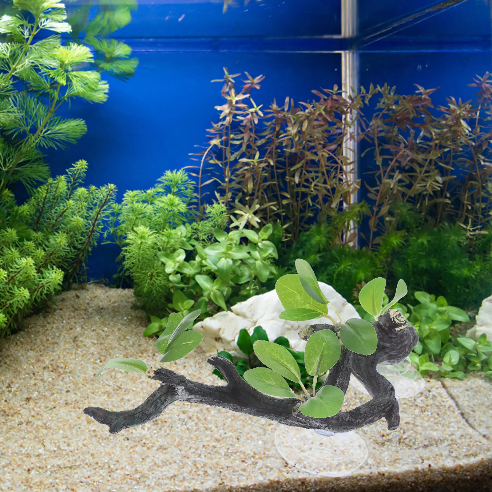 Resin Crafts Aquarium Decor Fish Tank Supplies Realistic DIY Decoration Reptile Terrarium Accessories Crab Climbing Toys Lizard
Resin Crafts Aquarium Decor Fish Tank Supplies Realistic DIY Decoration Reptile Terrarium Accessories Crab Climbing Toys Lizard