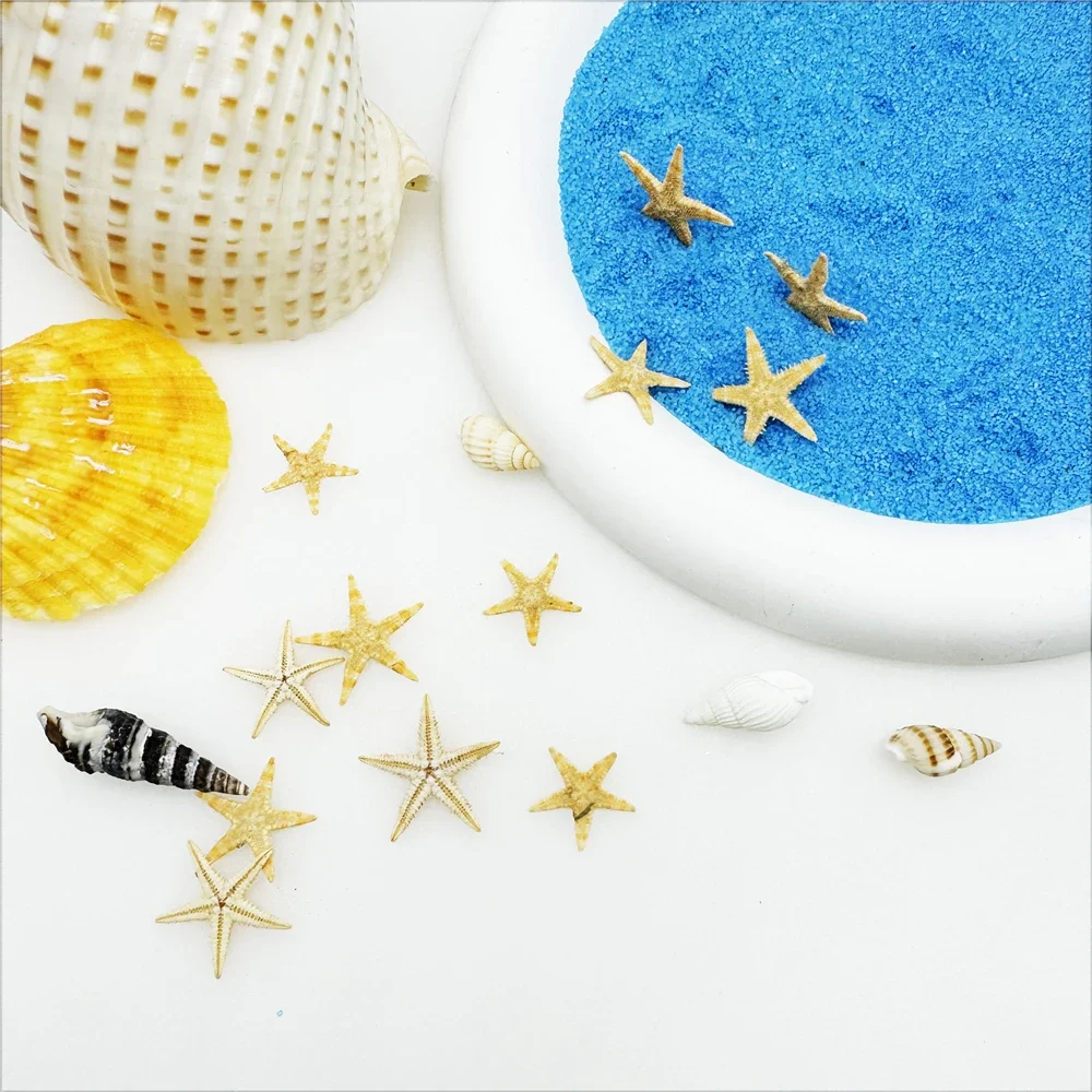 1 Box of 110pcs Tiny Sea Star Natural Starfish Seashell Ocean Theme Ornament for DIY Beach Wedding Decoration Fish Tank Decor
1 Box of 110pcs Tiny Sea Star Natural Starfish Seashell Ocean Theme Ornament for DIY Beach Wedding Decoration Fish Tank Decor