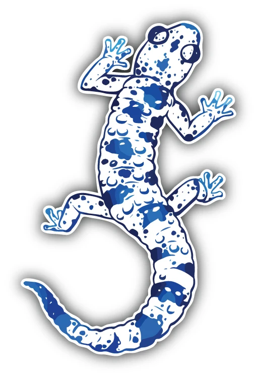 Cartoon Salamander Sticker For Suv Car Bumper Phone Bumper Guitar Truck Window Anti Scratch Exterior Decal Camper Accessories
Cartoon Salamander Sticker For Suv Car Bumper Phone Bumper Guitar Truck Window Anti Scratch Exterior Decal Camper Accessories