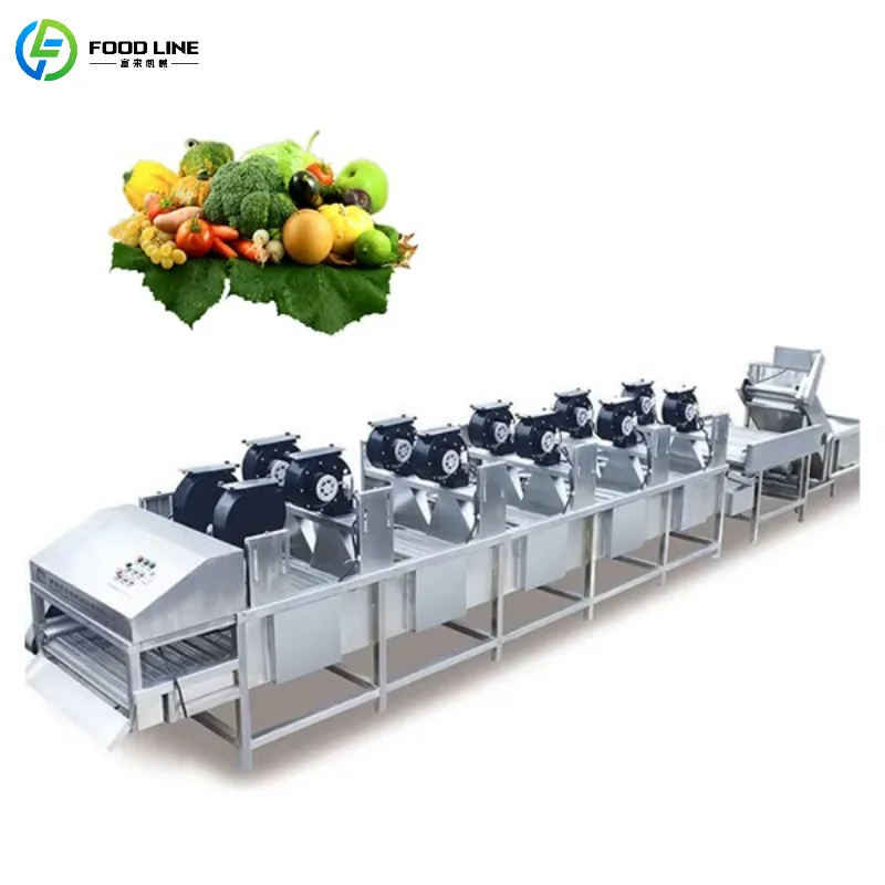 Customized Stainless Steel Fruit and Vegetable Drying Conveyor Belt High-Efficiency Air Blower Conveyor Equipment
Customized Stainless Steel Fruit and Vegetable Drying Conveyor Belt High-Efficiency Air Blower Conveyor Equipment