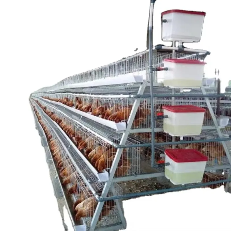 Husbandry Poultry Farm Laying Hens Equipment System Battery Chicken Layer Cage for Sale
Husbandry Poultry Farm Laying Hens Equipment System Battery Chicken Layer Cage for Sale