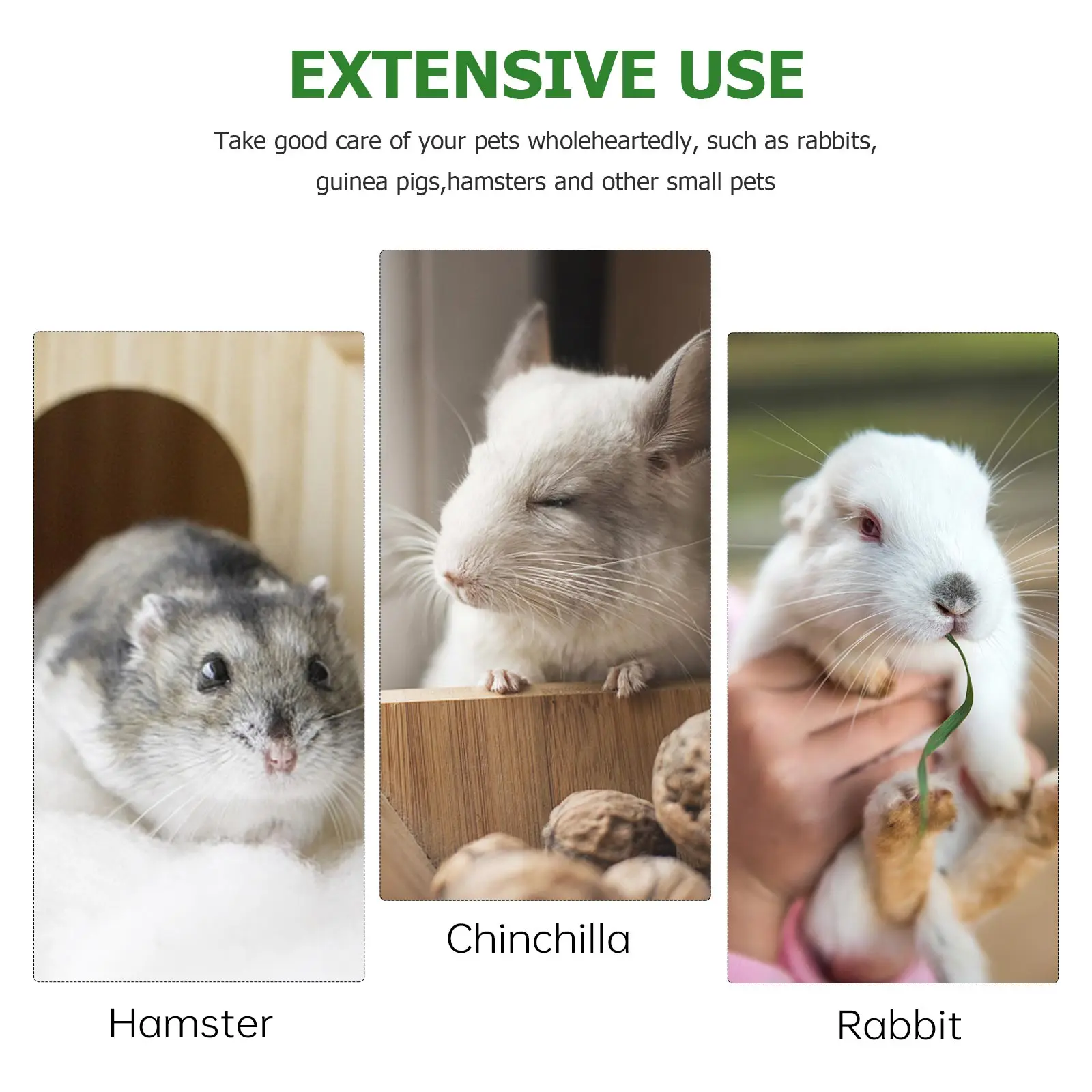 4pcs Hamster Chew Natural Mineral Molar Pet Supplies For Small Animals Teeth Grinding Calcium Supplement Pet Teether
4pcs Hamster Chew Natural Mineral Molar Pet Supplies For Small Animals Teeth Grinding Calcium Supplement Pet Teether