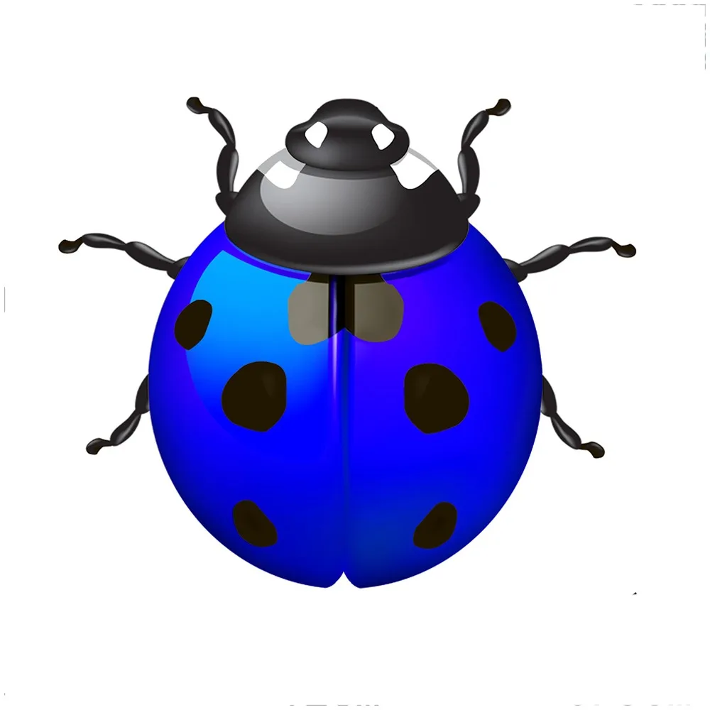 Портативные украшения для гостиной и сада, металлические украшения для спальни, женские ошибки, настенный декор, подвесной металлический сад, заднего двора
Портативные украшения для гостиной и сада, металлические украшения для спальни, женские ошибки, настенный декор, подвесной металлический сад, заднего двора