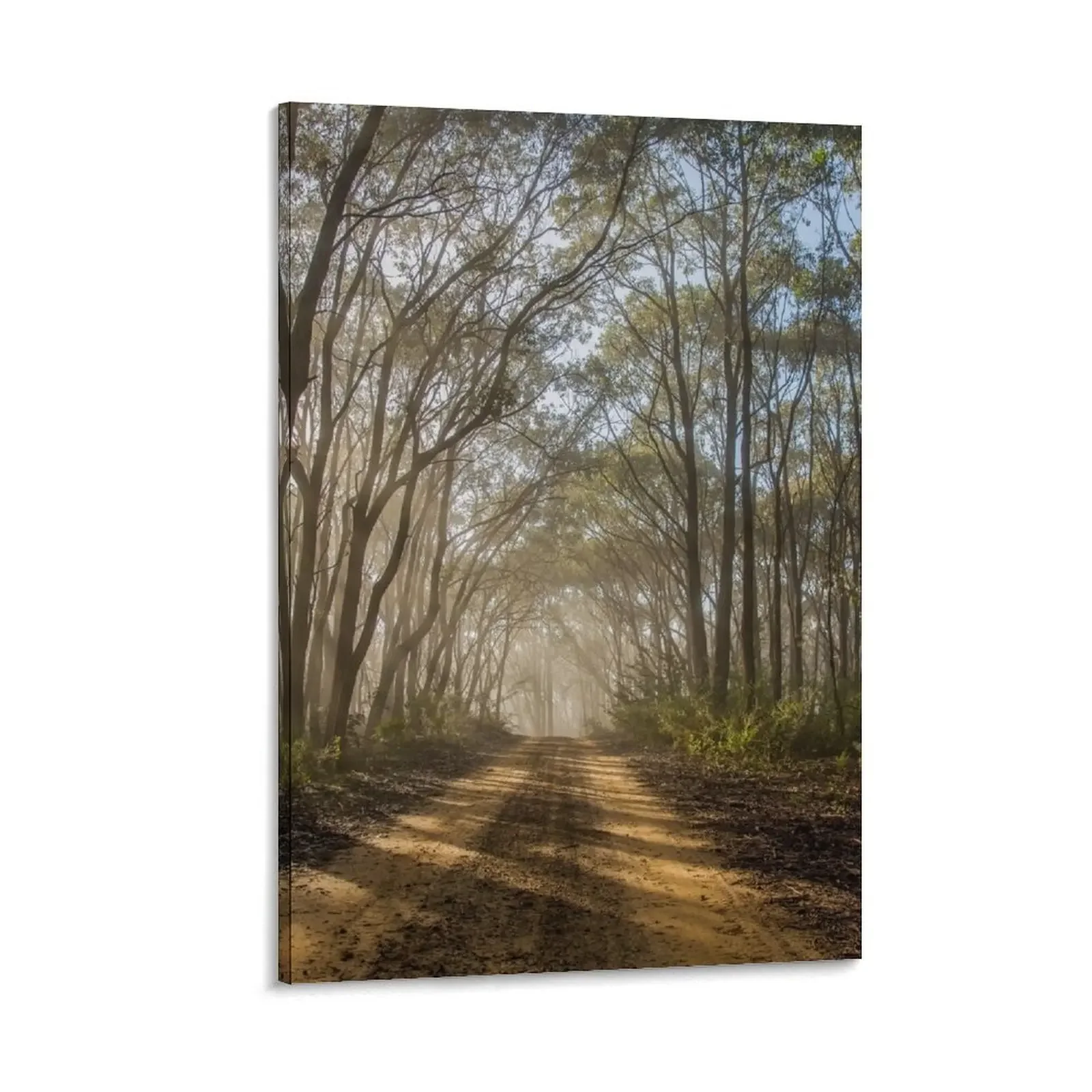 Australian Bush gumtree dirt track Canvas Painting home decoration accessories canvas wall art
Australian Bush gumtree dirt track Canvas Painting home decoration accessories canvas wall art