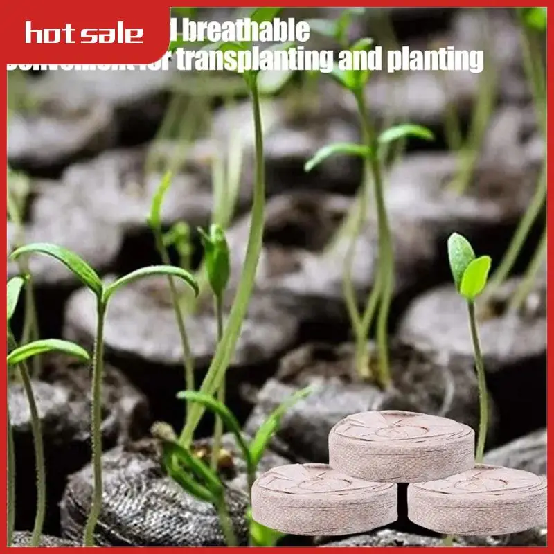 A21I-Planting Soil Blocks Вилка Питание Сжатые Торфные Блоки Кокосовая Группа Торф Сжатые Блоки Для Рассады
A21I-Planting Soil Blocks Вилка Питание Сжатые Торфные Блоки Кокосовая Группа Торф Сжатые Блоки Для Рассады