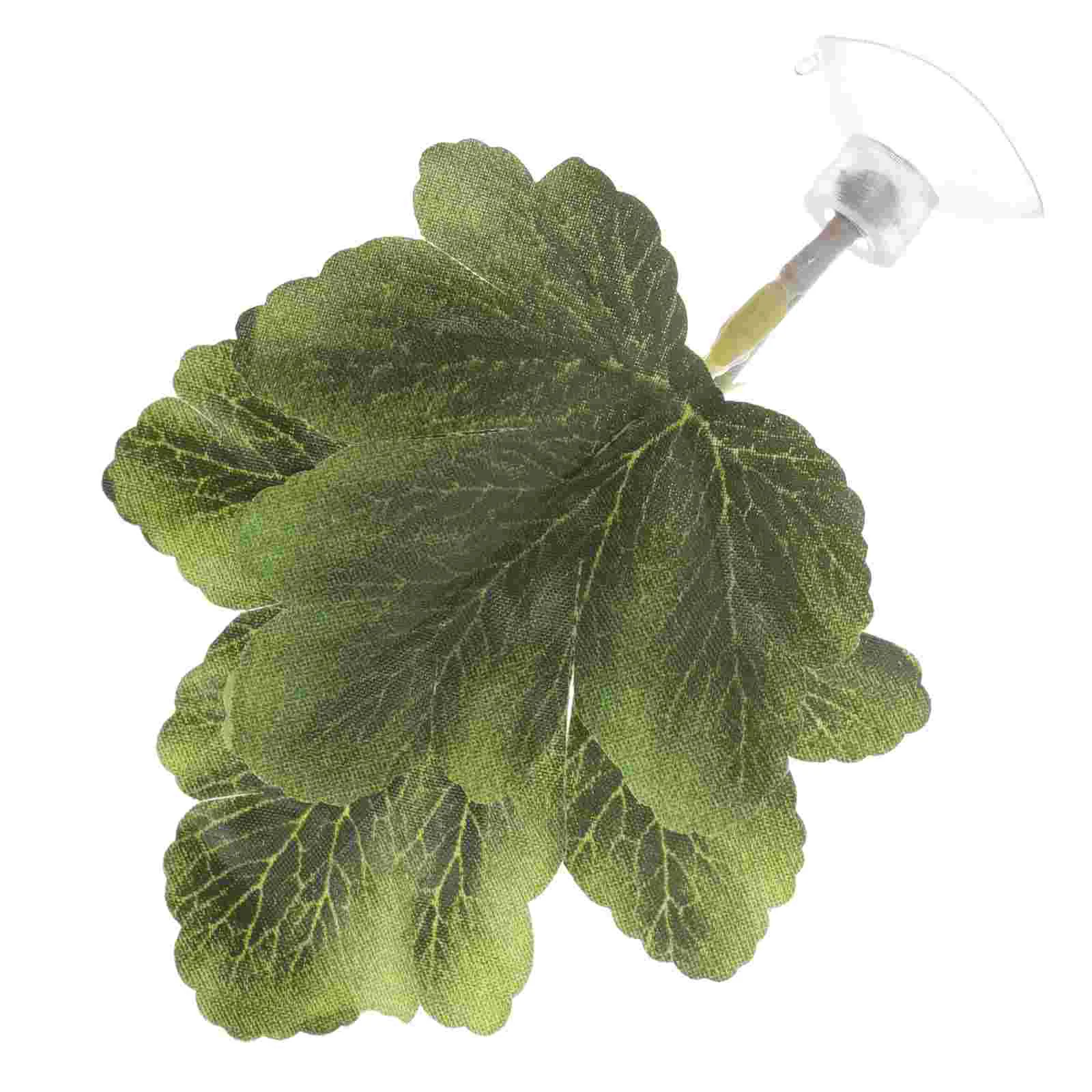 Betta Resting Leaves Artificial Water Grass Fish Leaf Hammock Supplies Aquarium Plastic Accessories
Betta Resting Leaves Artificial Water Grass Fish Leaf Hammock Supplies Aquarium Plastic Accessories