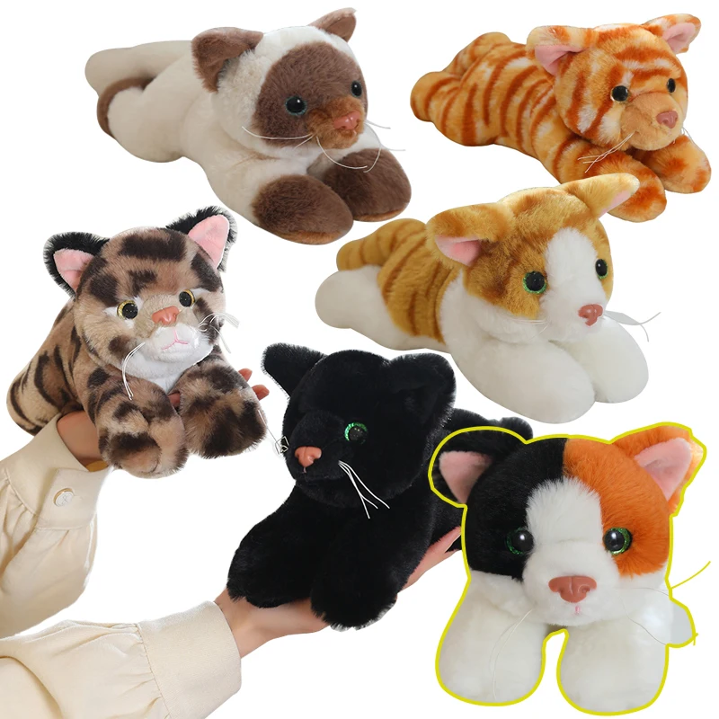 1Pc 25cm Lifelike 12 Styles Cat Plush Toy Lovely Siamese Cat Leopard Cat Hawksbill Cat Dolls Stuffed Animal Birthday Gift
1Pc 25cm Lifelike 12 Styles Cat Plush Toy Lovely Siamese Cat Leopard Cat Hawksbill Cat Dolls Stuffed Animal Birthday Gift