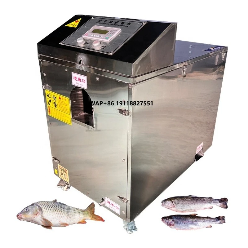 High Automation Fish Scraper / Open Back Fish Killing Machine / Fish Scaling and Gutting Machine
High Automation Fish Scraper / Open Back Fish Killing Machine / Fish Scaling and Gutting Machine