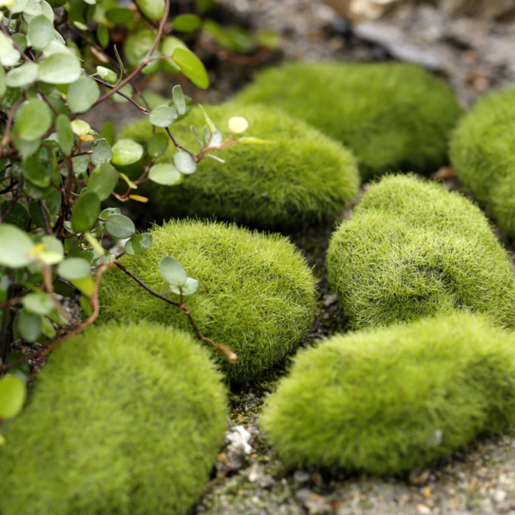 5Pcs Artificial Moss Stones Realistic Faux Mossy Rocks Micro Landscape Bonsai Stone Decor Garden Accessories Garden Layout Prop
5Pcs Artificial Moss Stones Realistic Faux Mossy Rocks Micro Landscape Bonsai Stone Decor Garden Accessories Garden Layout Prop