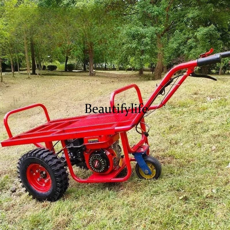 SS81 LH trolley agricultural climbing orchard truck pull wood flat truck
SS81 LH trolley agricultural climbing orchard truck pull wood flat truck