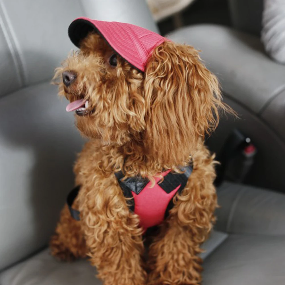 Pet Baseball Hat Denim Soft Comfortable Oxford Cloth Dog Puppy Cap Daily Vacation Pet Peaked Cap Dog Hat
Pet Baseball Hat Denim Soft Comfortable Oxford Cloth Dog Puppy Cap Daily Vacation Pet Peaked Cap Dog Hat