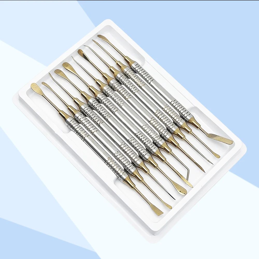 10Pcs Dental Periosteal Elevator Kit for Implant Periodontal and Maxillofacial Surgery Reflecting Retracting
10Pcs Dental Periosteal Elevator Kit for Implant Periodontal and Maxillofacial Surgery Reflecting Retracting