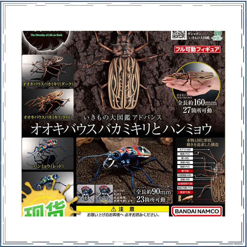 Long Toothed Deer Antler Longhorn Beetle BANDAI Gashapon Miniature Desktop Ornament Collectible Toy
Long Toothed Deer Antler Longhorn Beetle BANDAI Gashapon Miniature Desktop Ornament Collectible Toy