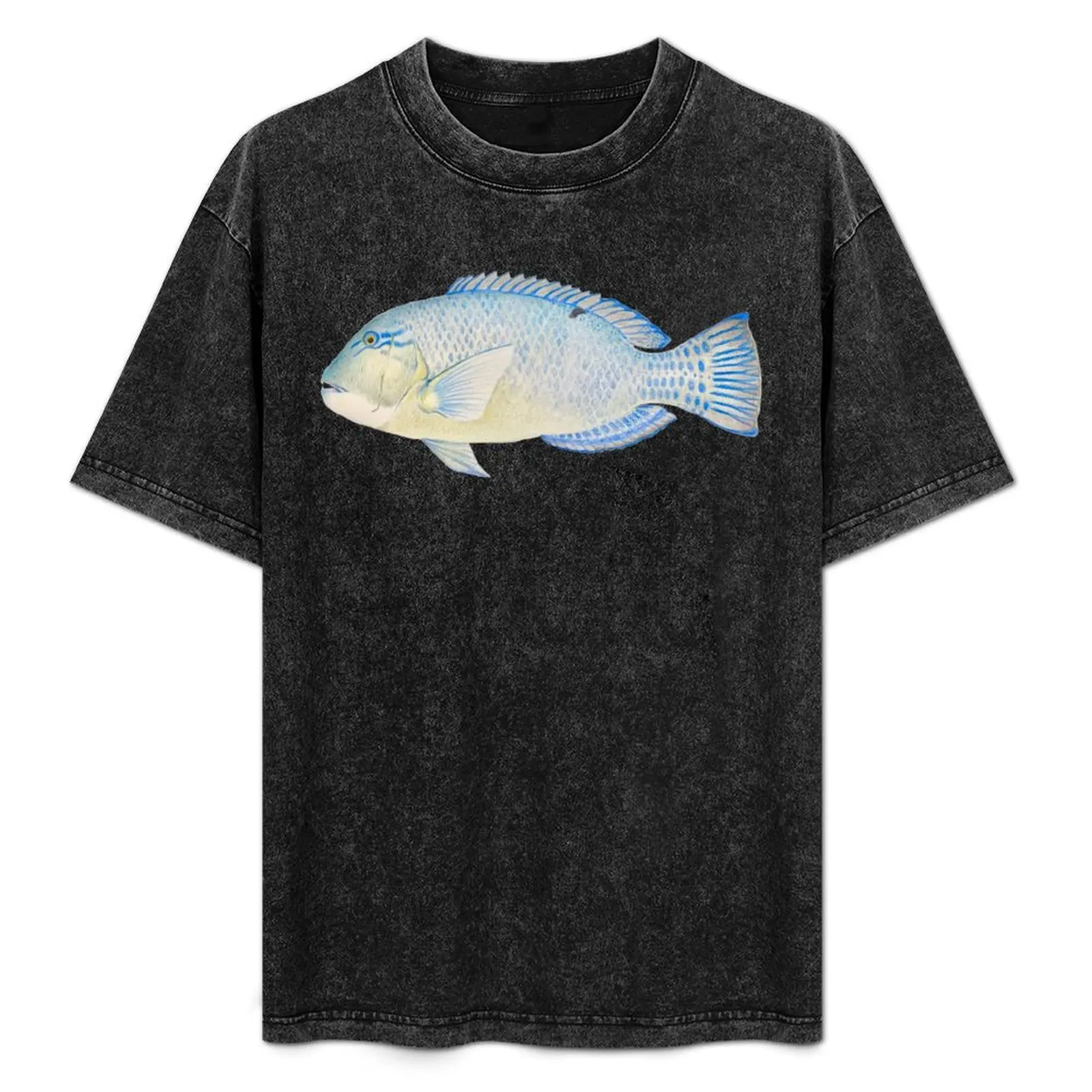 Blackspot Tuskfish T-Shirt Casual Minimalist Short Sleeve Top
Blackspot Tuskfish T-Shirt Casual Minimalist Short Sleeve Top