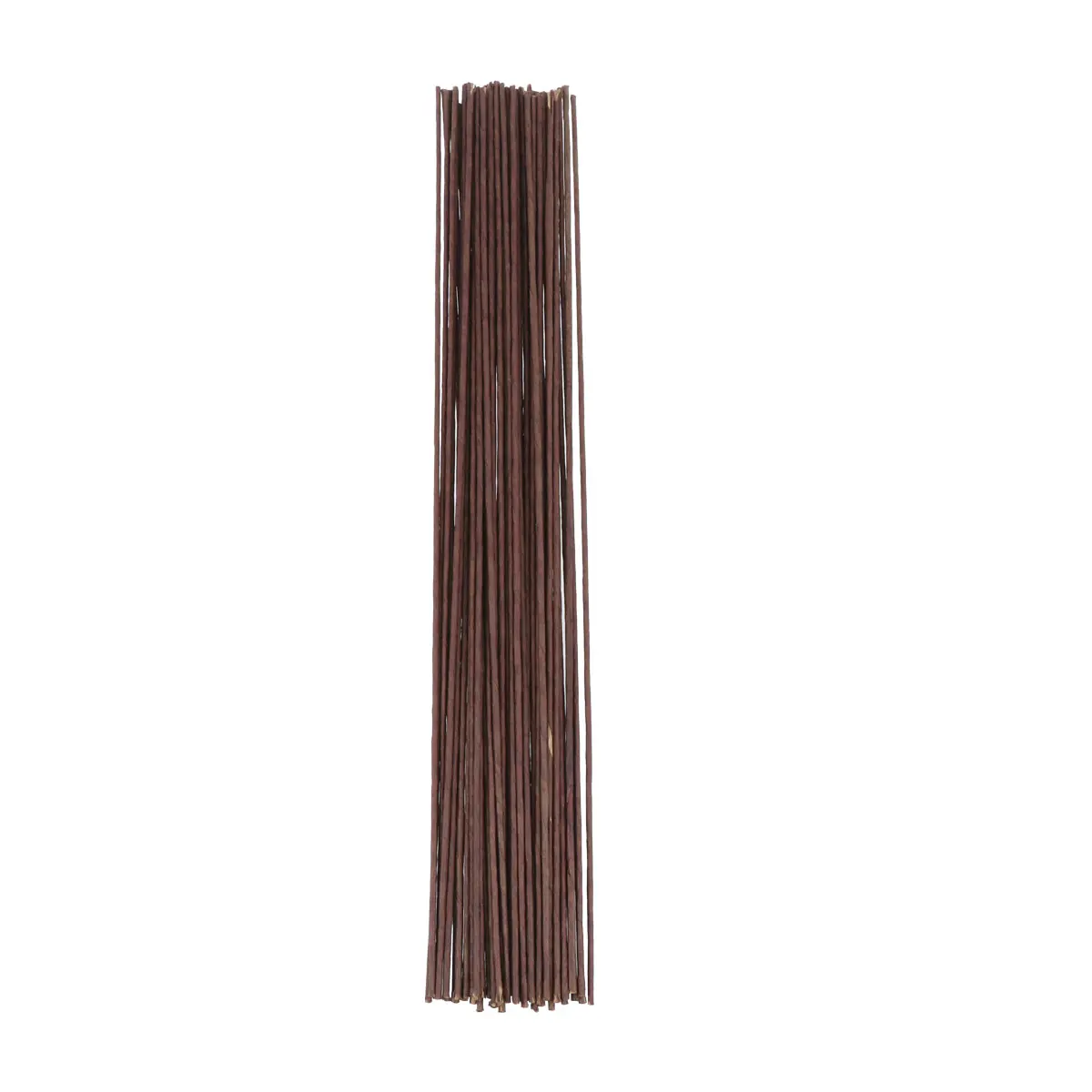Artificial Flowers Stem 2mm Wire Coffee Color Durable Floral Wire for DIY Crafts Wedding Bouquet Decoration Everlasting Flower
Artificial Flowers Stem 2mm Wire Coffee Color Durable Floral Wire for DIY Crafts Wedding Bouquet Decoration Everlasting Flower