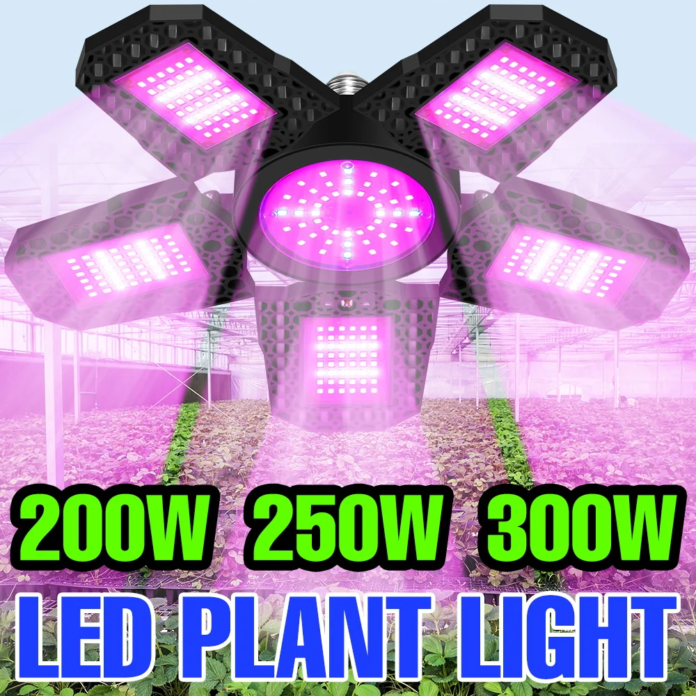 300W LED Foldable Grow Light Bulb E27/E26 Full Spectrum Indoor Plant Fill Lamp Greenhouse Vegs Hydroponics Cultivation Lighting
300W LED Foldable Grow Light Bulb E27/E26 Full Spectrum Indoor Plant Fill Lamp Greenhouse Vegs Hydroponics Cultivation Lighting