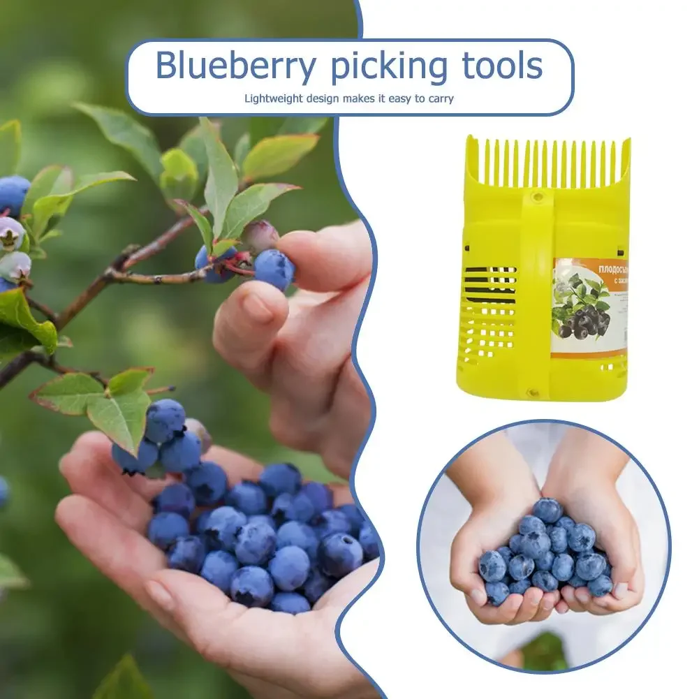Fruit Picker Picking Fruit Collecting Scoop Handle Blueberry Collection Harvester Berry Comb for Blueberries Cranberries
Fruit Picker Picking Fruit Collecting Scoop Handle Blueberry Collection Harvester Berry Comb for Blueberries Cranberries