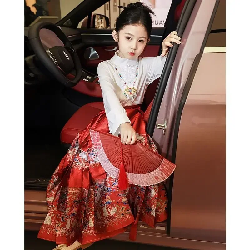 Falda roja Mamian Hanfu para niña, traje tradicional chino, dinastía Ming, falda de cara de caballo
Falda roja Mamian Hanfu para niña, traje tradicional chino, dinastía Ming, falda de cara de caballo