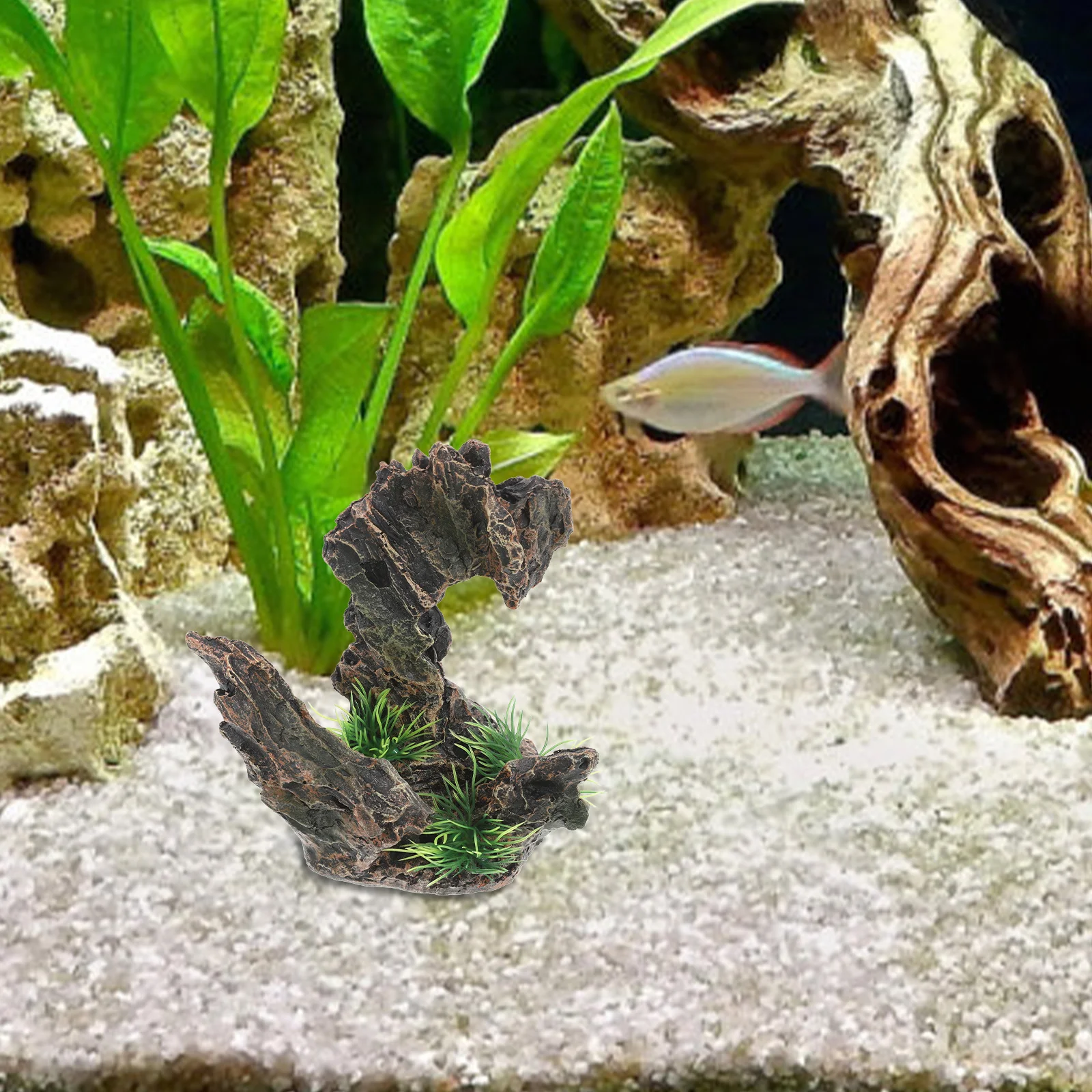 Aquarium Decor Ornaments Resin Mountain Caves and Hides for Fish Centerpiece Rocks
Aquarium Decor Ornaments Resin Mountain Caves and Hides for Fish Centerpiece Rocks