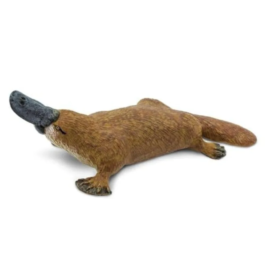 Platypus Figurine - Detailed 4.75" Plastic Model Figure - Fun Educational Play Toy for Boys, Girls and Ages 3+
Platypus Figurine - Detailed 4.75" Plastic Model Figure - Fun Educational Play Toy for Boys, Girls and Ages 3+