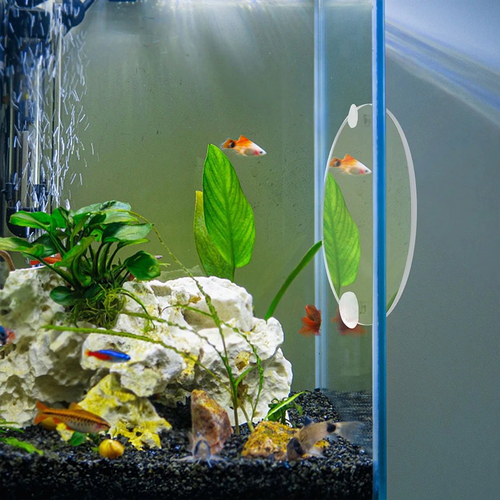 1pc Fish Tank Acrylic Betta Toy Decor Suction Cup Aquarium Training Compact Betta Fish Tank Accessories Mirror Durability Pet
1pc Fish Tank Acrylic Betta Toy Decor Suction Cup Aquarium Training Compact Betta Fish Tank Accessories Mirror Durability Pet