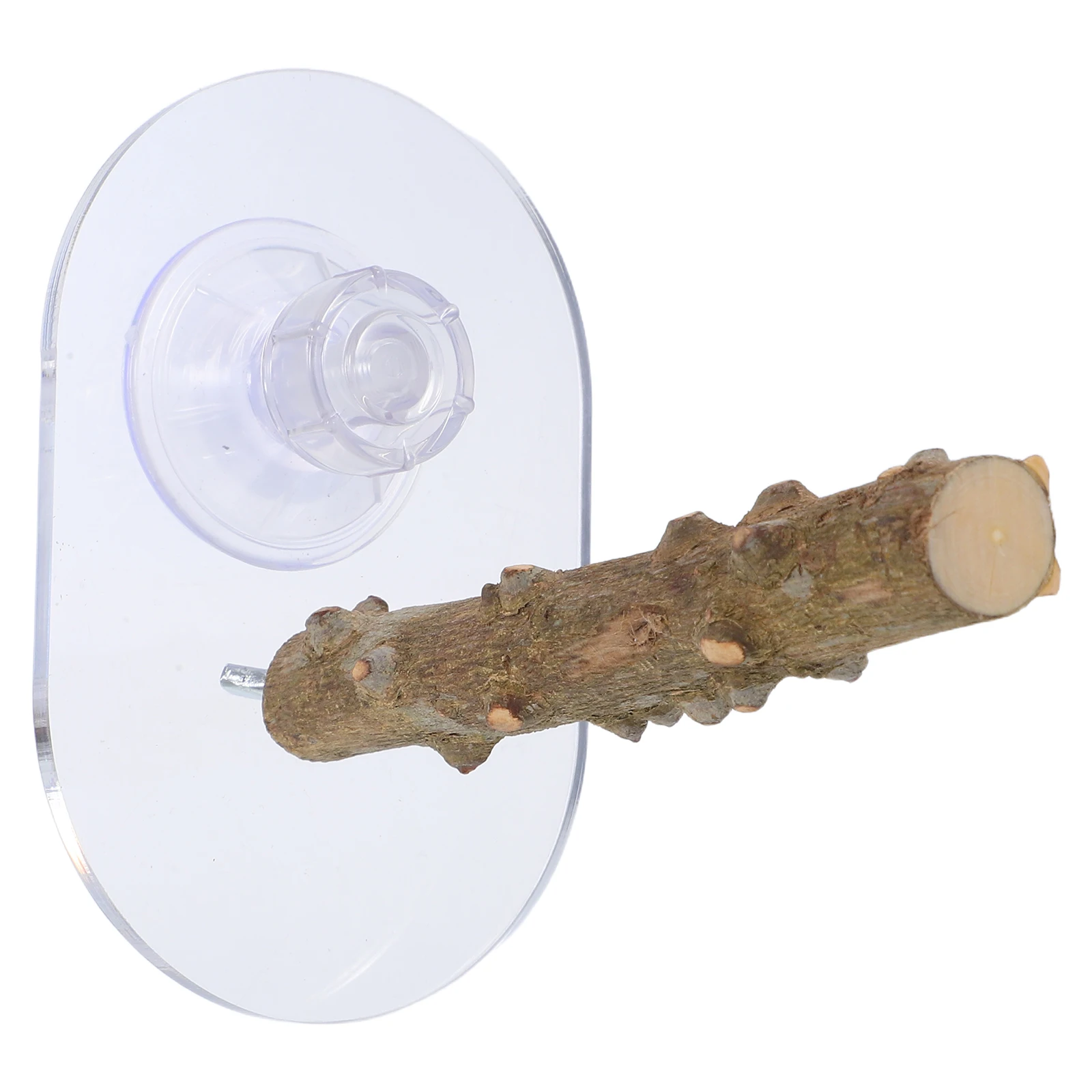 Parrot Platform Suction Perch Natural Wood Adjustable Height Portable Bird Stand Ideal Cage Window Perch Cockatiels Budgies
Parrot Platform Suction Perch Natural Wood Adjustable Height Portable Bird Stand Ideal Cage Window Perch Cockatiels Budgies