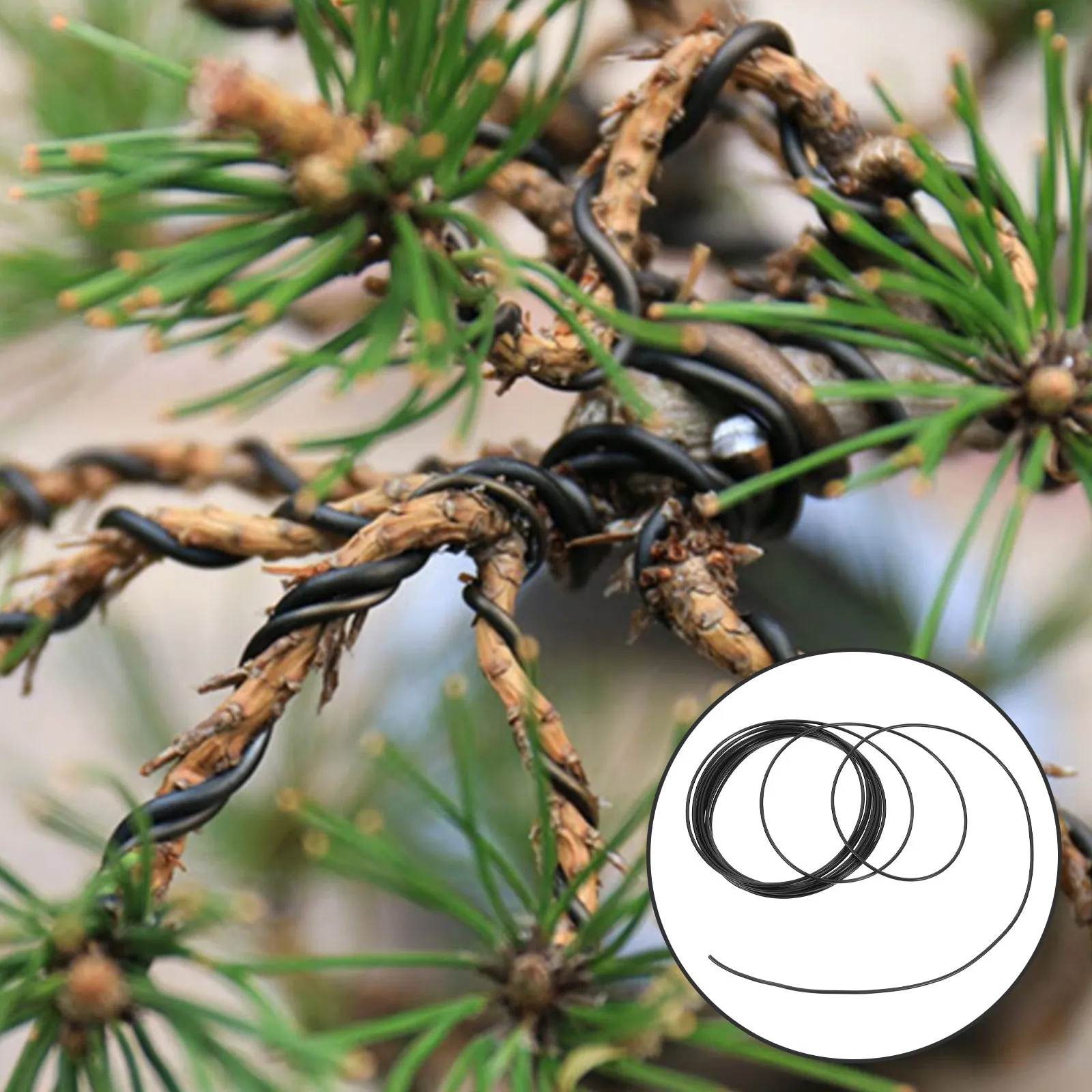 Aluminum Bonsai Wire Flexible Shaping For Indoor Outdoor Garden Decoration Landscape Edging Horticulture Tools Bonsai
Aluminum Bonsai Wire Flexible Shaping For Indoor Outdoor Garden Decoration Landscape Edging Horticulture Tools Bonsai