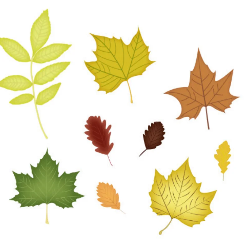 Передний нижний рычаг для Hyper GO MJX 1/10 10208 Little Monster OP, металлический комплект для модернизации, запчасти для радиоуправляемых моделей краулеров и багги
Передний нижний рычаг для Hyper GO MJX 1/10 10208 Little Monster OP, металлический комплект для модернизации, запчасти для радиоуправляемых моделей краулеров и багги