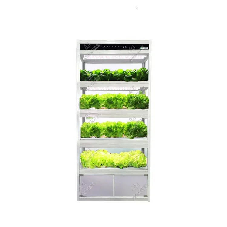 Intelligent Smart advanced vertical farming indoor garden smart home hydroponic system for vegetable growing machine
Intelligent Smart advanced vertical farming indoor garden smart home hydroponic system for vegetable growing machine