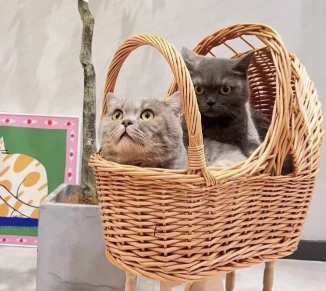 Ins Rattan Weave Stroller Toy Studio Photo Props Baby Doll Carriage Children's Room Decoration Play House Cart Pretend Play Toy
Ins Rattan Weave Stroller Toy Studio Photo Props Baby Doll Carriage Children's Room Decoration Play House Cart Pretend Play Toy