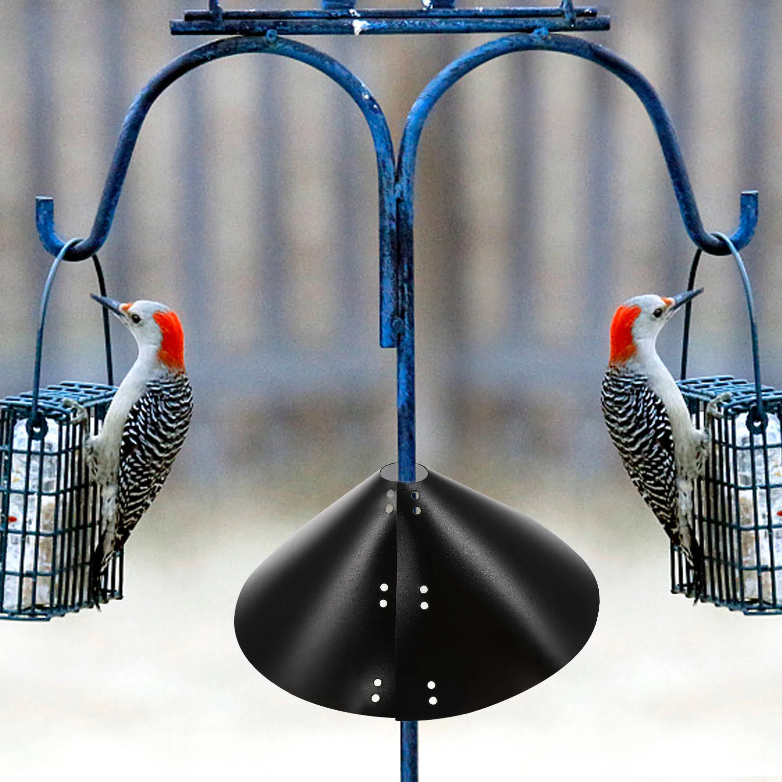 Squirrel Proof Baffle Durable PVC Protective Feeding Cylinder Garden Decor Bird Feeder Protector Rainproof Hanging Squirrel Hood
Squirrel Proof Baffle Durable PVC Protective Feeding Cylinder Garden Decor Bird Feeder Protector Rainproof Hanging Squirrel Hood