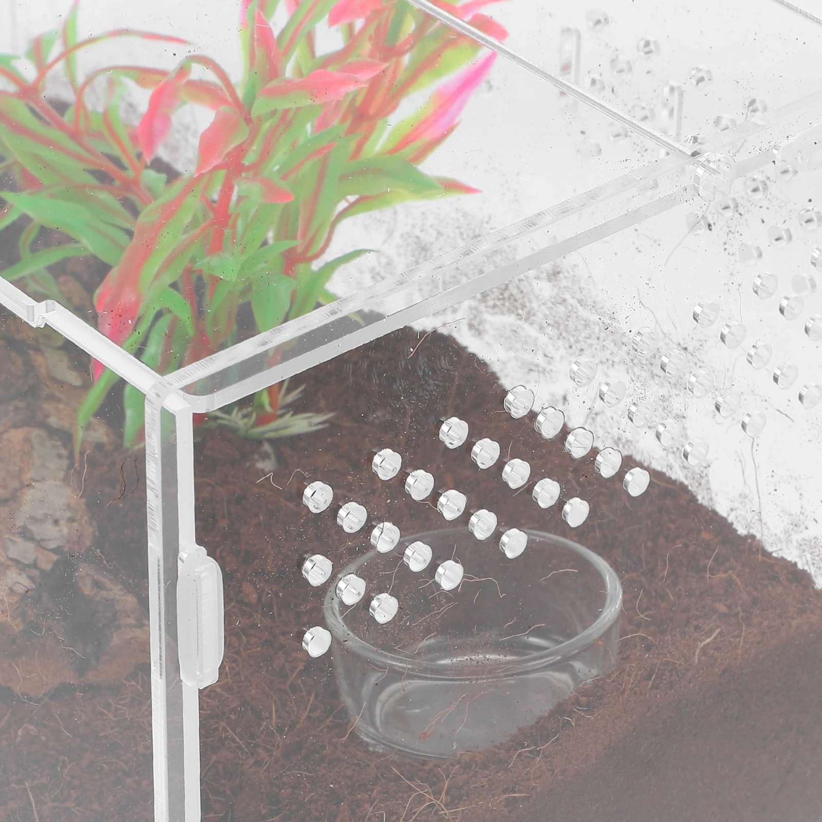 25x15x15 Reptile Terrarium Clear Acrylic Case Durable Spider Frog Enclosure Tank Easy Wash Ventilation Gecko Lizard Box Pet
25x15x15 Reptile Terrarium Clear Acrylic Case Durable Spider Frog Enclosure Tank Easy Wash Ventilation Gecko Lizard Box Pet