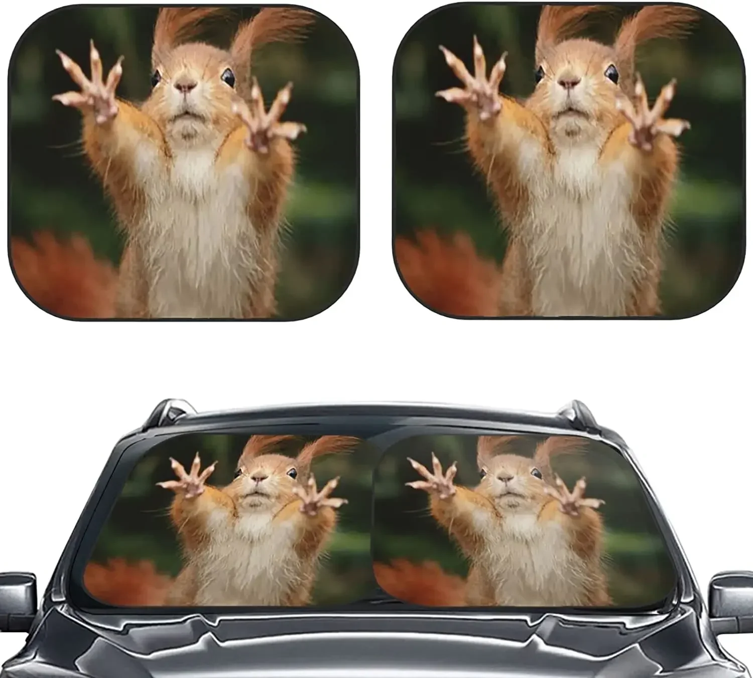 KiuLoam 2 Piece Car Windshield Sun Shade, Squirrel Funny Animal Meets Print Sunshades Sun Visor Protector Blocks UV Rays Foldabl
KiuLoam 2 Piece Car Windshield Sun Shade, Squirrel Funny Animal Meets Print Sunshades Sun Visor Protector Blocks UV Rays Foldabl
