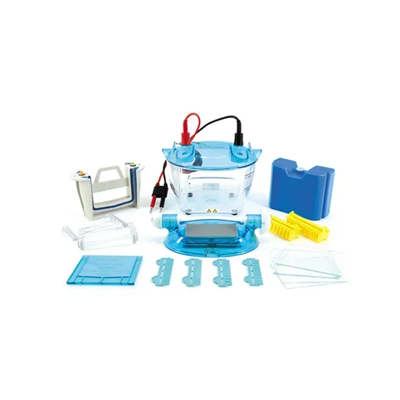 Dual Vertical Electrophoresis Instrument for Protein Gels, for Seed Purity Testing or Sample Protein Electrophoresis
Dual Vertical Electrophoresis Instrument for Protein Gels, for Seed Purity Testing or Sample Protein Electrophoresis