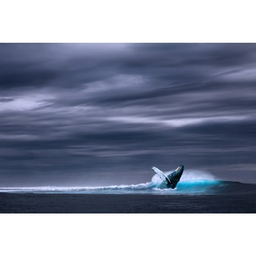 JX PS-1143HB 4,5 г аналоговый мини-сервопривод без сердечника пластиковая шестерня для рулевого управления вертолетом с неподвижным крылом радиоуправляемая модель высокоскоростные детали
JX PS-1143HB 4,5 г аналоговый мини-сервопривод без сердечника пластиковая шестерня для рулевого управления вертолетом с неподвижным крылом радиоуправляемая модель высокоскоростные детали