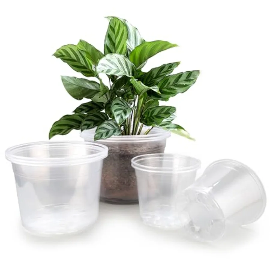 Large Clear Nursery Pots with Drainage, 9 Pack Plastic Pots for Plants, Clear Plant Seedling Pots for Indoor and Outdoor Garden
Large Clear Nursery Pots with Drainage, 9 Pack Plastic Pots for Plants, Clear Plant Seedling Pots for Indoor and Outdoor Garden