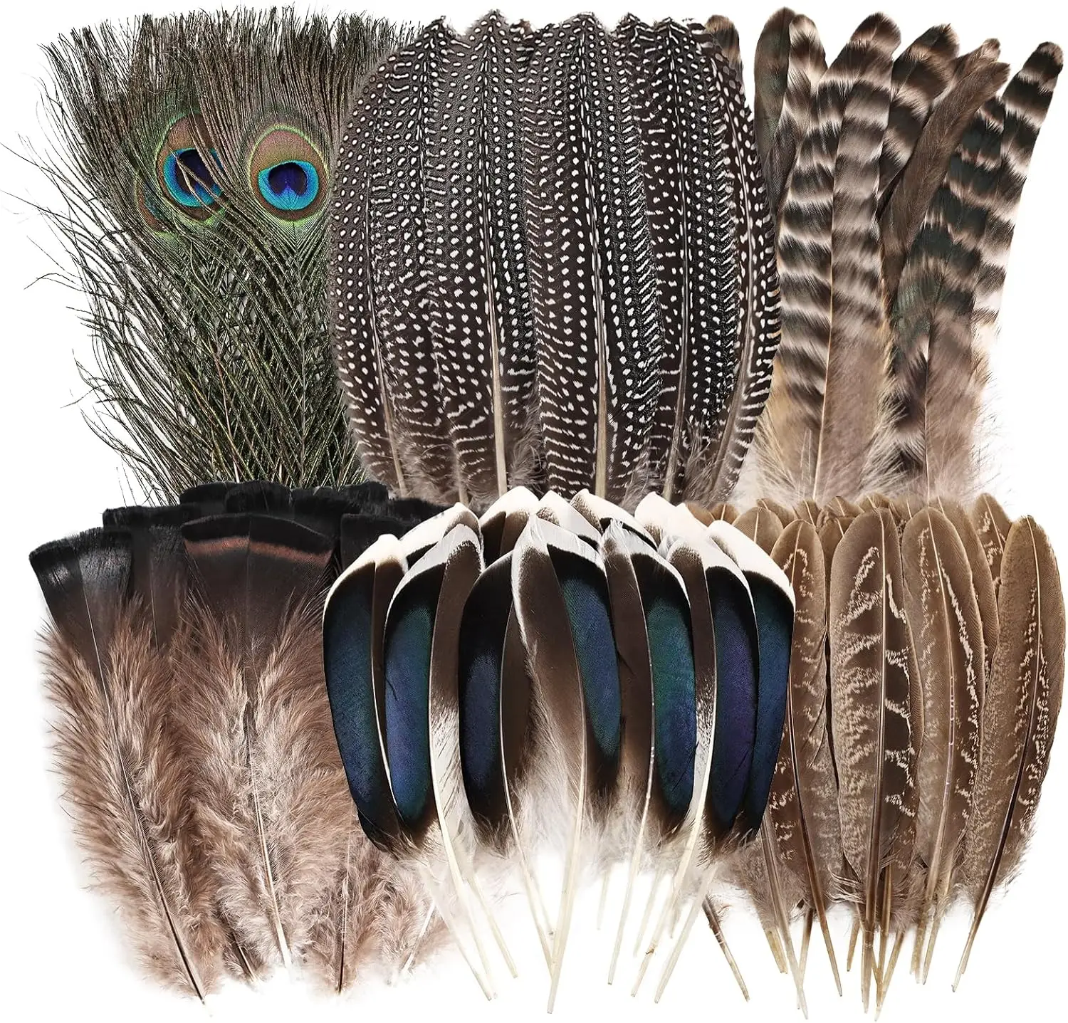 Feathers Bulk - 30PCS - 6 Styles Assorted Natural Feathers, Peacock Feathers, Pheasant Feathers, Turkey Feathers for DIY Crafts,
Feathers Bulk - 30PCS - 6 Styles Assorted Natural Feathers, Peacock Feathers, Pheasant Feathers, Turkey Feathers for DIY Crafts,