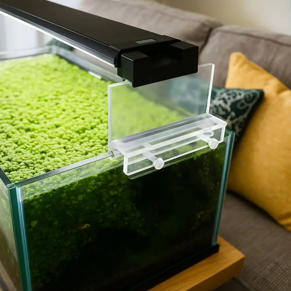 Clear Acrylic Aquarium LED Light Holder Hanging Fixtures Lifting Fish Tank Lighti Stand No-Drill Fish Tank Lighting Tools
Clear Acrylic Aquarium LED Light Holder Hanging Fixtures Lifting Fish Tank Lighti Stand No-Drill Fish Tank Lighting Tools