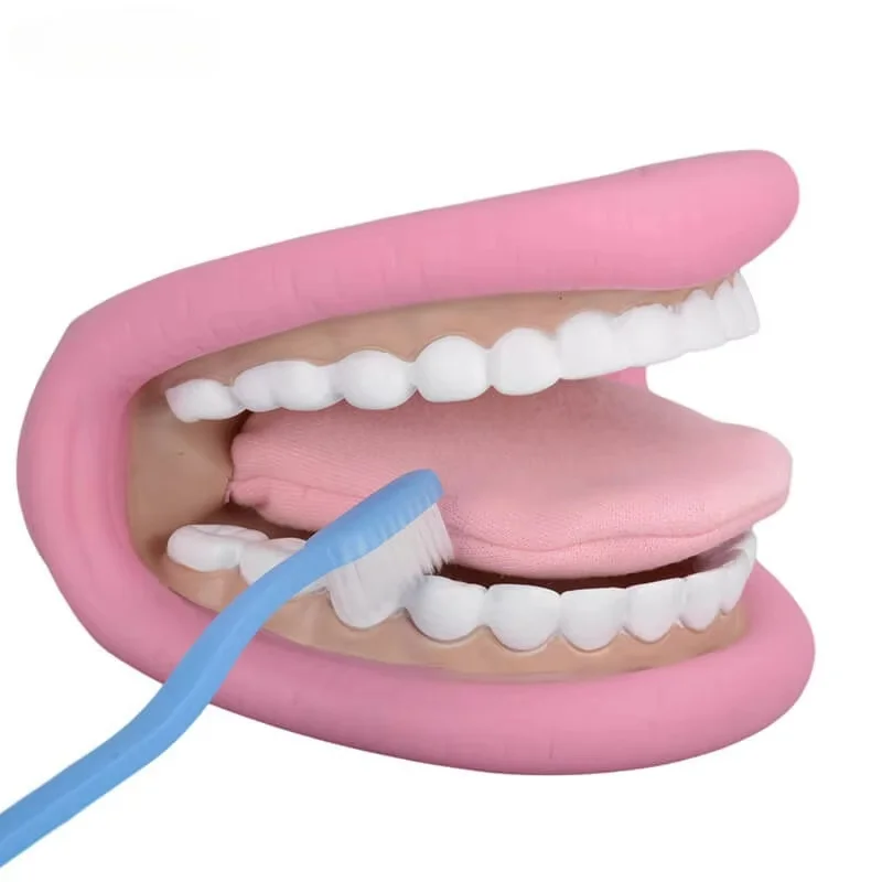 Funny Dental Mouth Hand Puppet Made of Woven Polyester Tooth Fairy Puppet Oral Health Presentation Puppet Educational Plush
Funny Dental Mouth Hand Puppet Made of Woven Polyester Tooth Fairy Puppet Oral Health Presentation Puppet Educational Plush