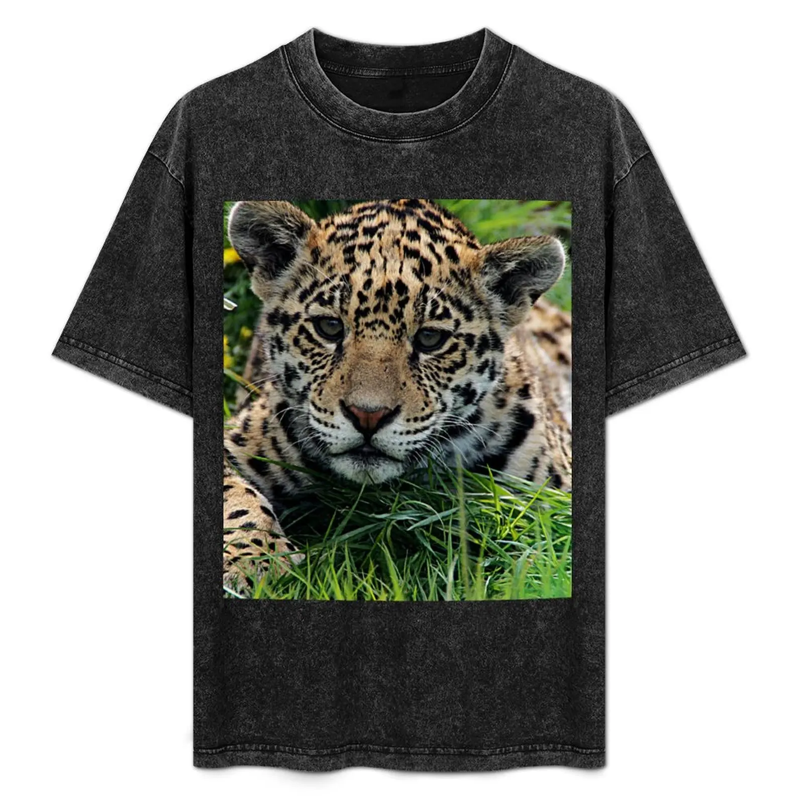 Spot T-Shirt Non-Shrink Basic Cotton T-Shirt
Spot T-Shirt Non-Shrink Basic Cotton T-Shirt