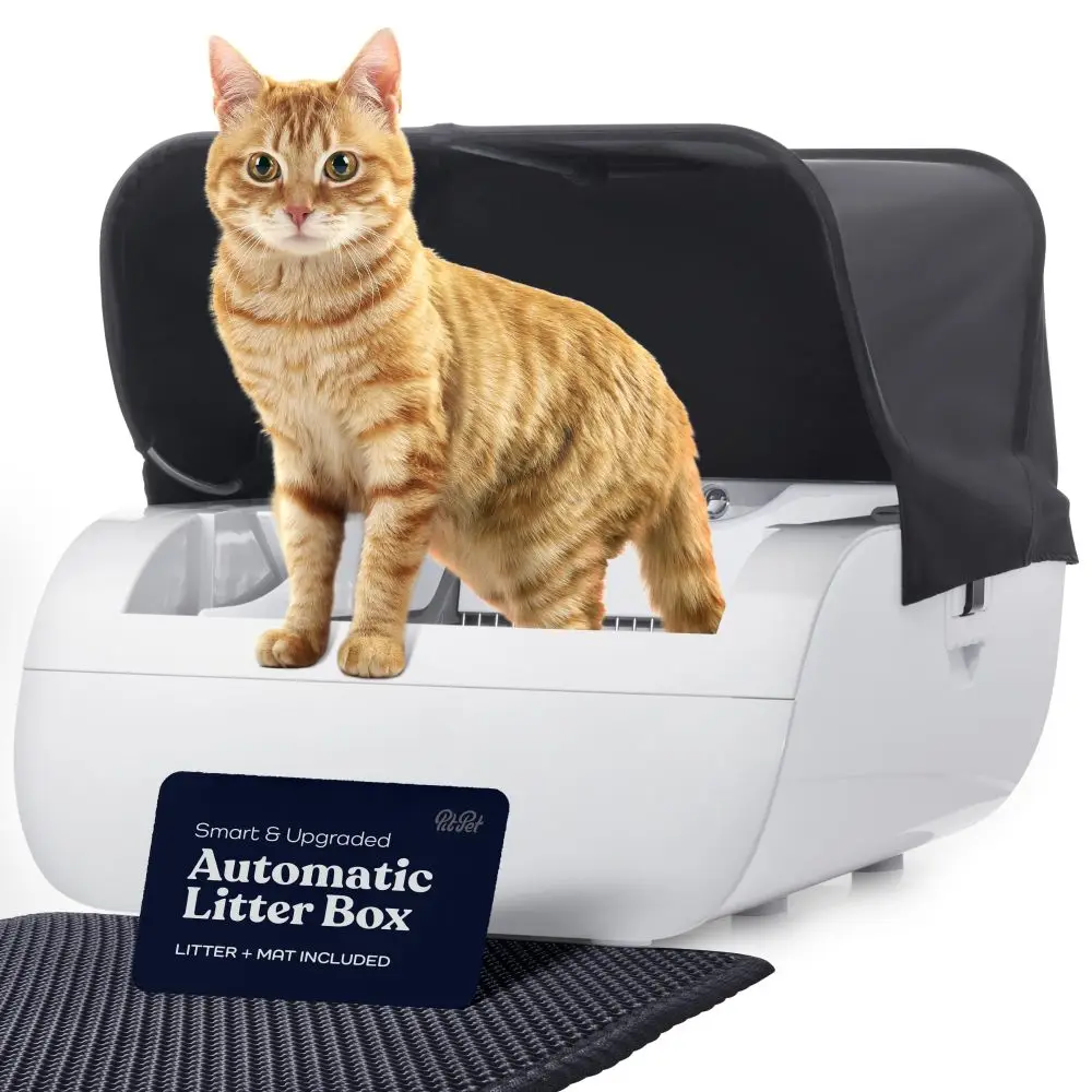 Cat Automatic Feeders Smart Litter Box Cat Litter Box Wide Opening Cat Supplies
Cat Automatic Feeders Smart Litter Box Cat Litter Box Wide Opening Cat Supplies