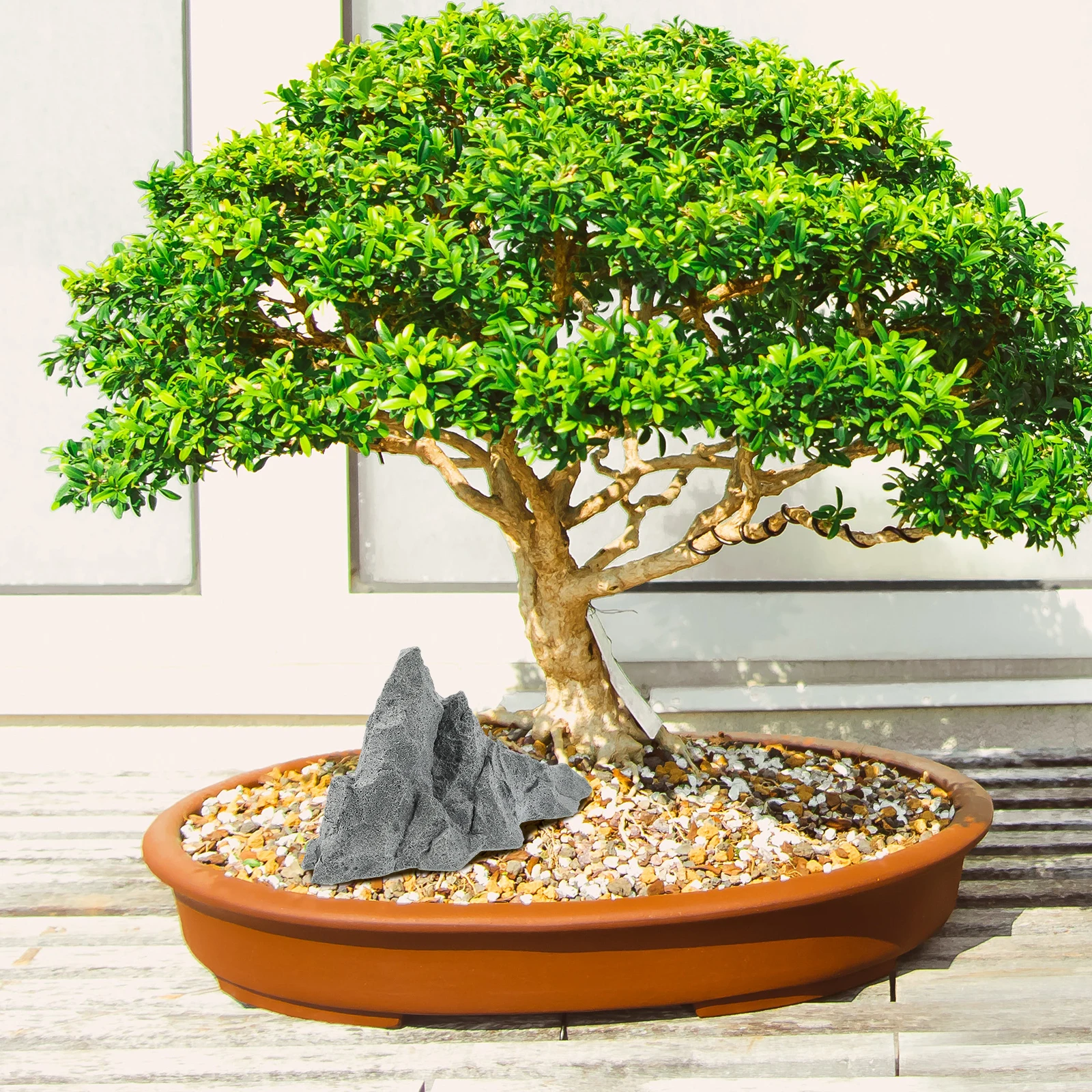 S stone nament L Mountain Durable Mini Stone Decor Tank Decoration Garden Yard Zen L scaping Accessories
S stone nament L Mountain Durable Mini Stone Decor Tank Decoration Garden Yard Zen L scaping Accessories